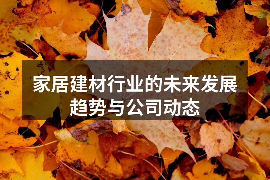 家居建材行业的未来发展趋势与公司动态