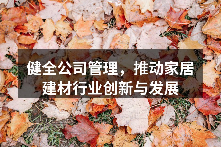 健全公司管理,推动家居建材行业创新与发展